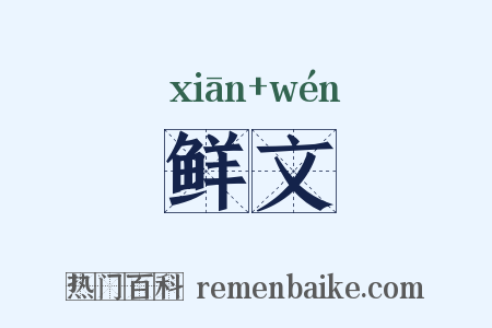 鲜文是什么意思的图片